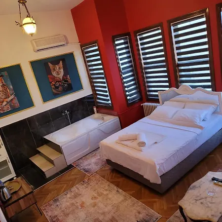 Sari Koesk Butik Hotell 3*